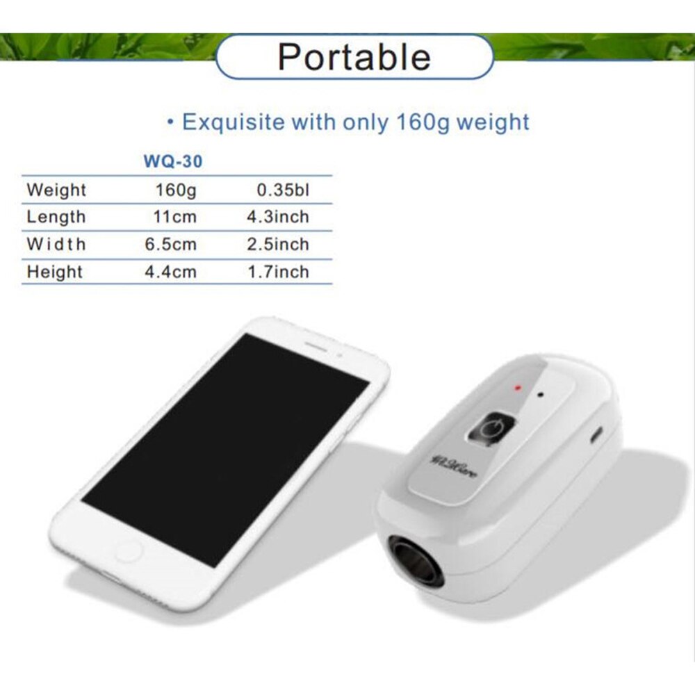 Stérilisateur assainissant et sac APAP | Auto désinjecteur, nettoyeur de ventilateur, nettoyant pour APAP du sommeil, OSAHS OSAS Anti-ronflement pour la chambre à coucher