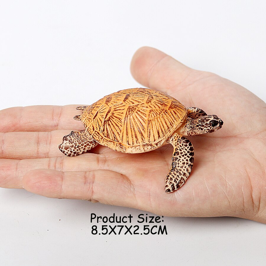 Realistic Sea Animals Figurines Orca Squid Sharks Dolphin Turtle Sailfish Octopus Figures Miniature Education Toys for Kids