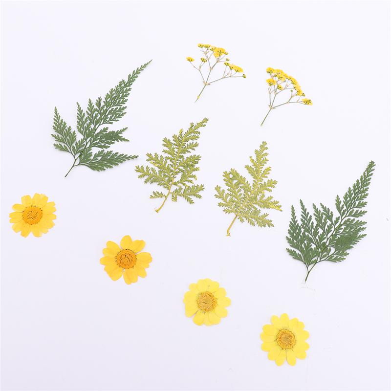 2 Sheets/Total 20pcs DIY Pressed Flowers Sticker Dried Leaf Flowers Plants Patches for Crafts Making (Orange and Yellow)