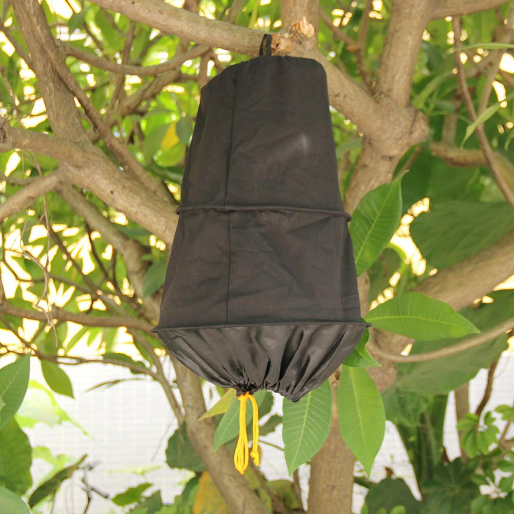 3 Lagen Bee Kooi Bijen Wilde Werven Bijenteelt Gereedschappen Wilde Bee Catching Box Bijenteelt Tuin Bijenteelt Gereedschappen