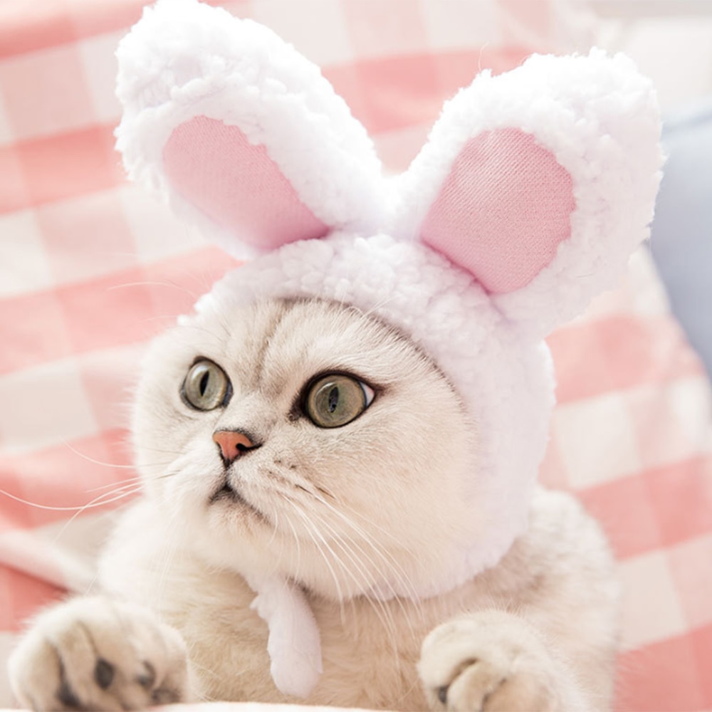 Hauska lemmikki kissa lippis asu lämmin kani hattu vuosi juhla joulu cosplay asusteet valokuva rekvisiitta päähineet teemajuhliin