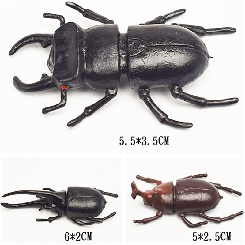 10 pièces/lot 5.5cm simulation scarabée jouets spécial réaliste modèle Simulation insecte jouet pépinière aides pédagogiques blague jouets