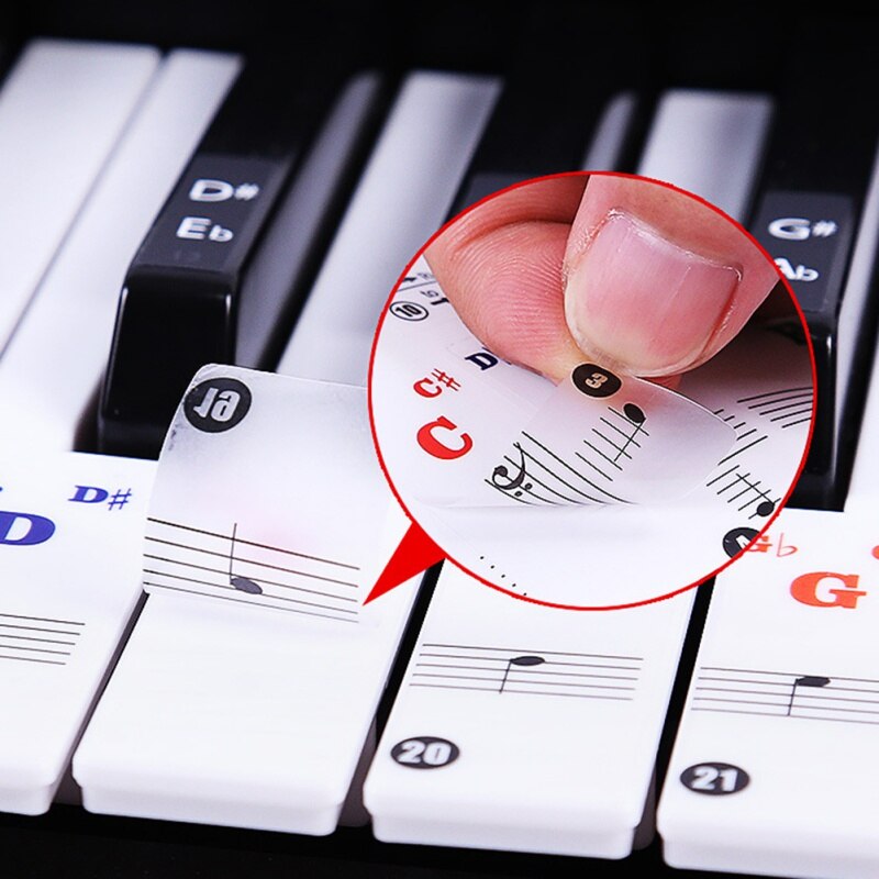 88/61 Key Color Piano Letter Notes Stickers Keyboard Hand Roll Piano Keyboard Notation Transparent Stickers Instruments