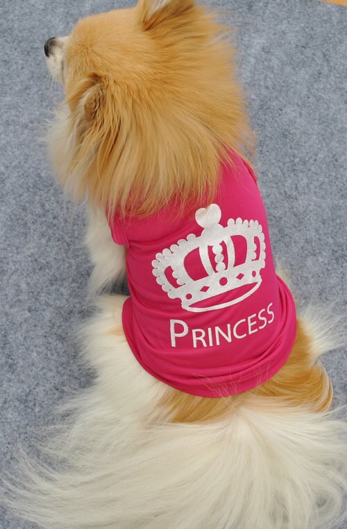 Animal de compagnie chien chat doux mignon princesse robes chiot chien vêtements été Puggy manteau Costumes 1 pièces