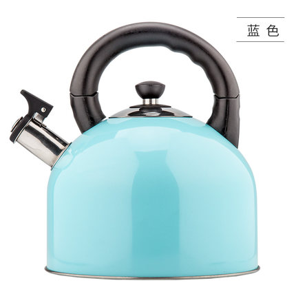 Houmaid keukenaccessoires kookgereedschap roestvrij staal fluitketel water, waterkoker metalen theepot: Blauw