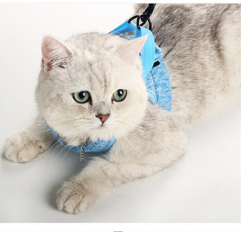 Conjunto de Correa y arnés ajustable para perros y gatos, arneses antiescape para mascotas, chaleco transpirable suave para gatos, suministros de correa para pecho para caminar al aire libre