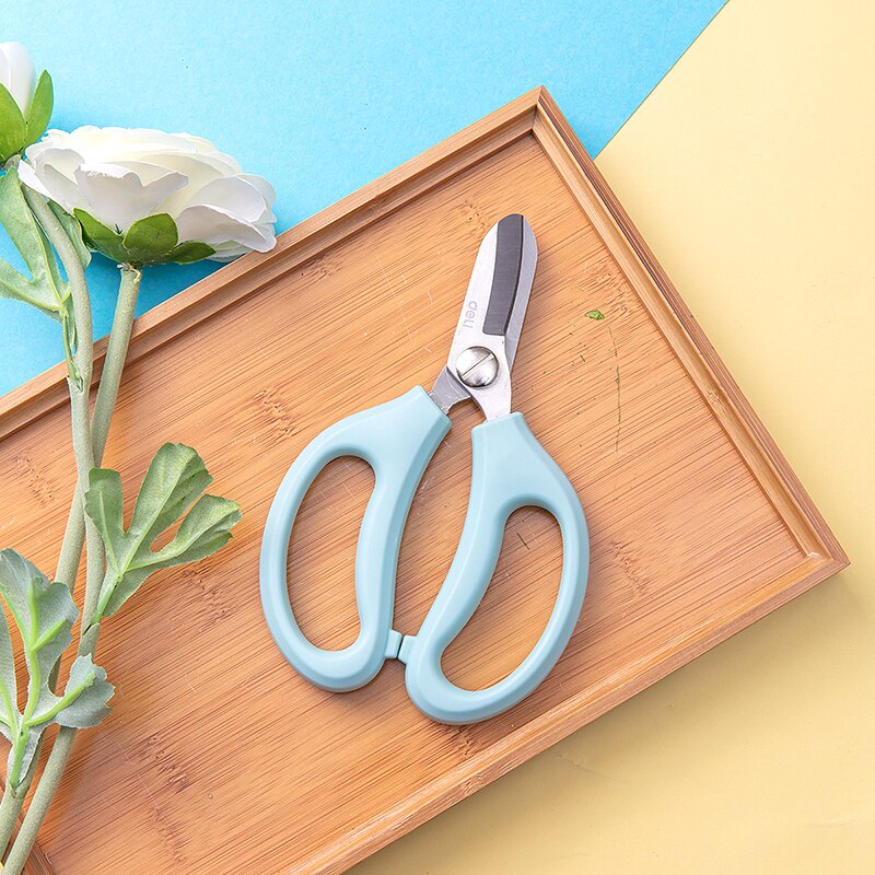 Deli, tijeras florales para hogar y oficina, tijeras de jardinería en maceta, Azul, Rosa 77751