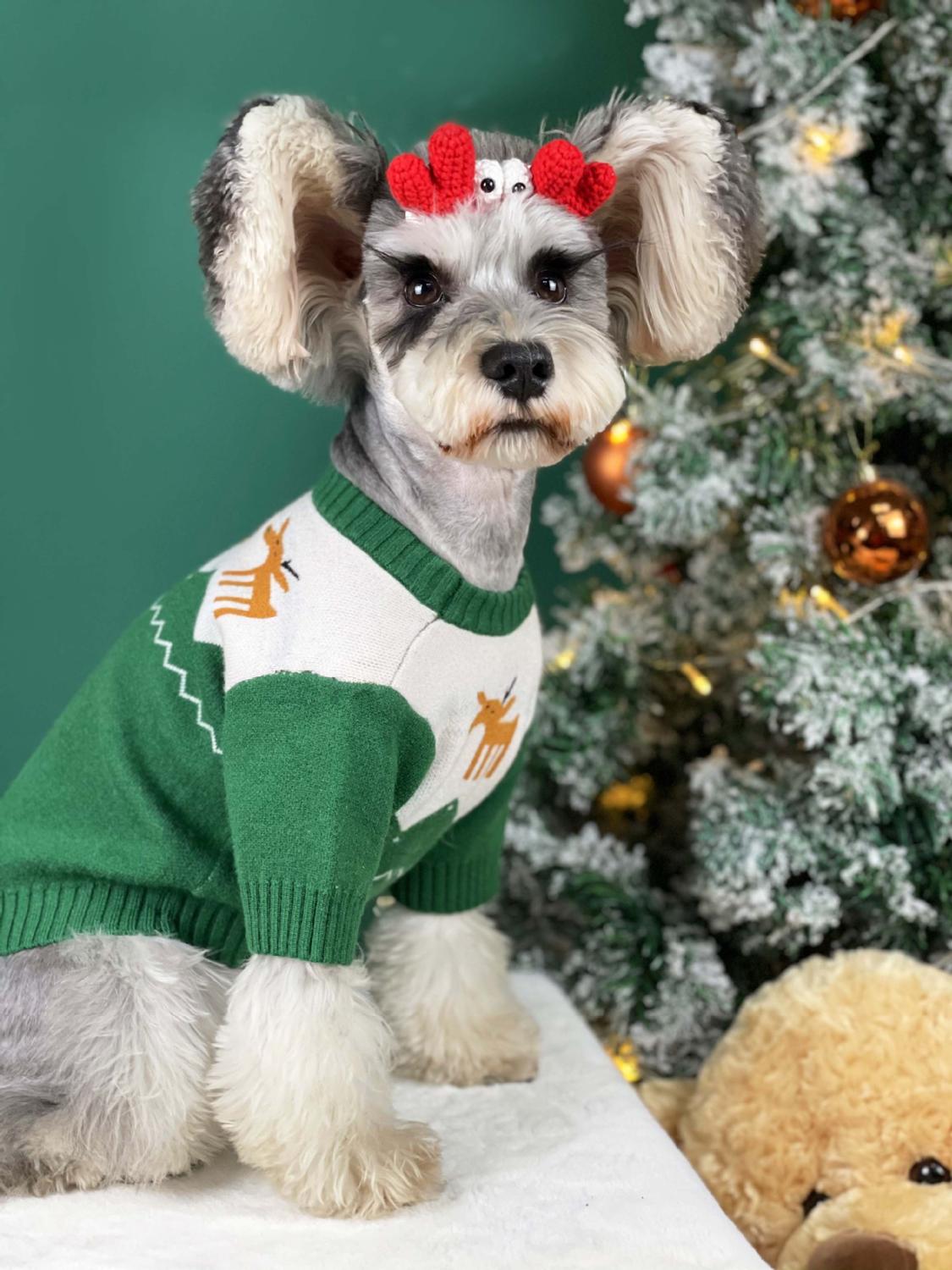 Pet Dog Cat Christmas Red & Green Sweater Jumper Clothes Winter Warm Puppy Hoodie for Small Medium Dogs Schnauzer Jacket Coat
