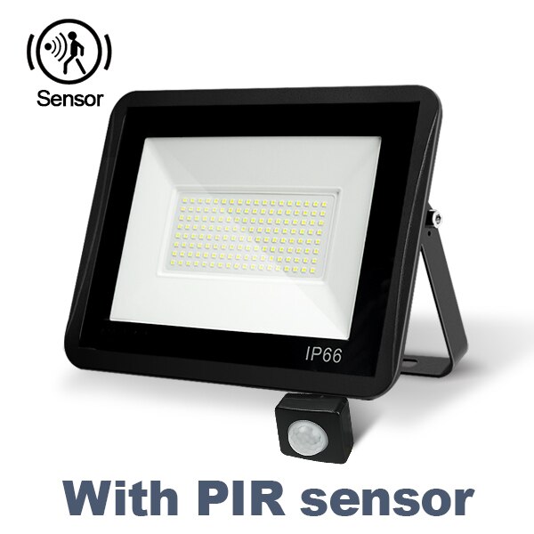 LED Floodlight PIR Motion Sensor 10W 20W 30W 50W 100W 220V Waterproof IP66 Spotlight Reflector Focus Lamp Home Courtyard Outdoor: PIR Motion Sensor / 30W / 5500-7000K