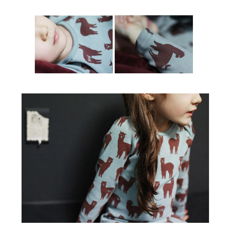 Kinderen Casual Pyjama Animal Print Lange Mouwen Ondergoed Homewear Nachtkleding Nachtkleding Meisje Suits