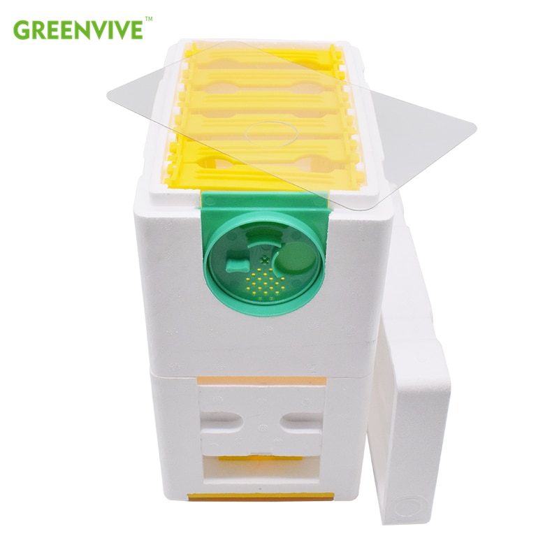 Double Beekeeping Queen Breeding Queen Rearing Mini Polystyrene Mating Nuc Hive Box for Beekeeping Beginners