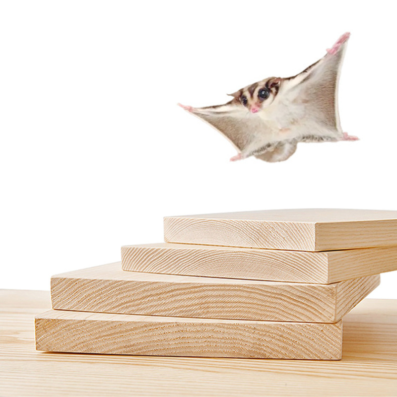 Chinchilla Houten Platform Set Chinchilla Kooi Platform Kleine Dieren Kooi Accessoires voor Eekhoorn Gerbil Suiker Zweefvliegtuig Hamsters