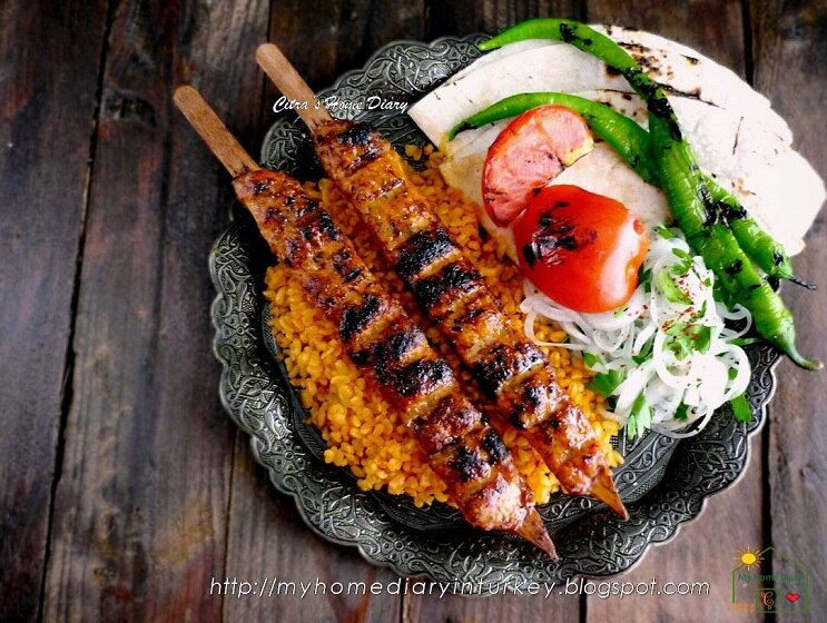 Akt pinces manche en bois barbecue Grill 10 Lu brochettes 422354 turc Urfa repas pique-nique viande bâton droit BBQ grill outil