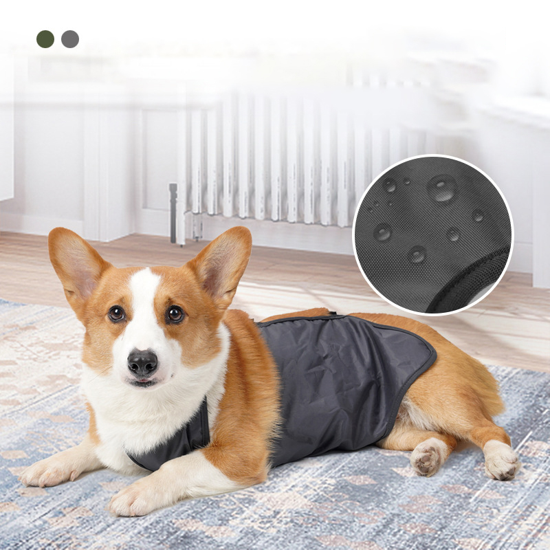 Carlin Corgi animal de compagnie chien Bellyband vêtements imperméable respirant Anti ventre couverture bavoir poche chien Costume Corgi Bellyband gilet