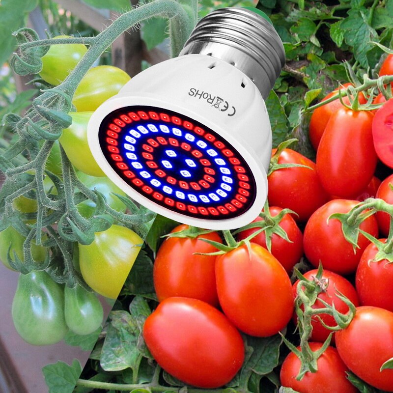 Led  b22 hydroponisk vækstlys  e27 led vækstpære  mr16 fuld spektrum 220v uv lampe plante  e14 blomst frøplante fitolampe  gu10