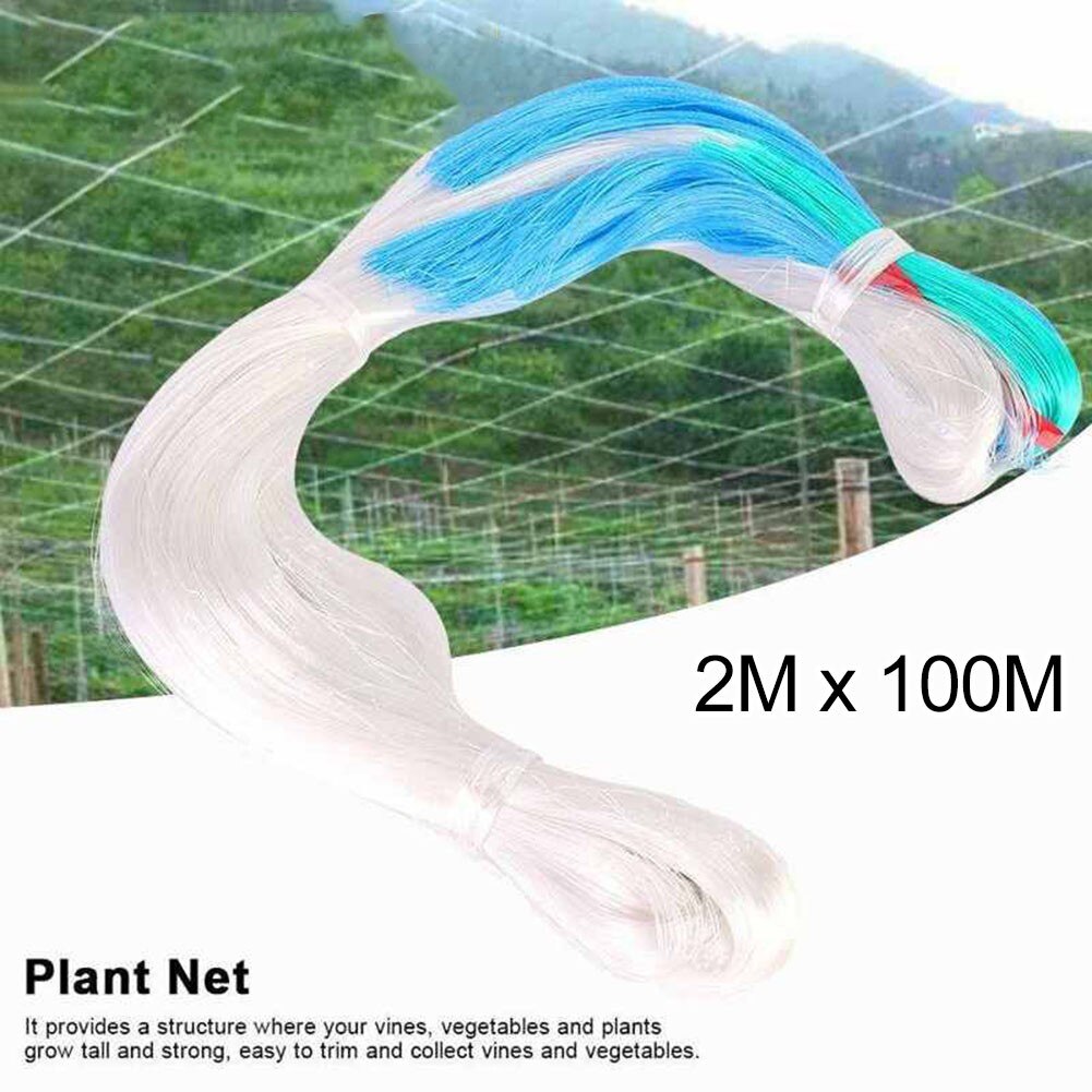 Plant Support Net 2M X 100M Fruit Support Trellis Cover Mesh Plants Climbing Frame Support Net Cover For Pea Planting Tools