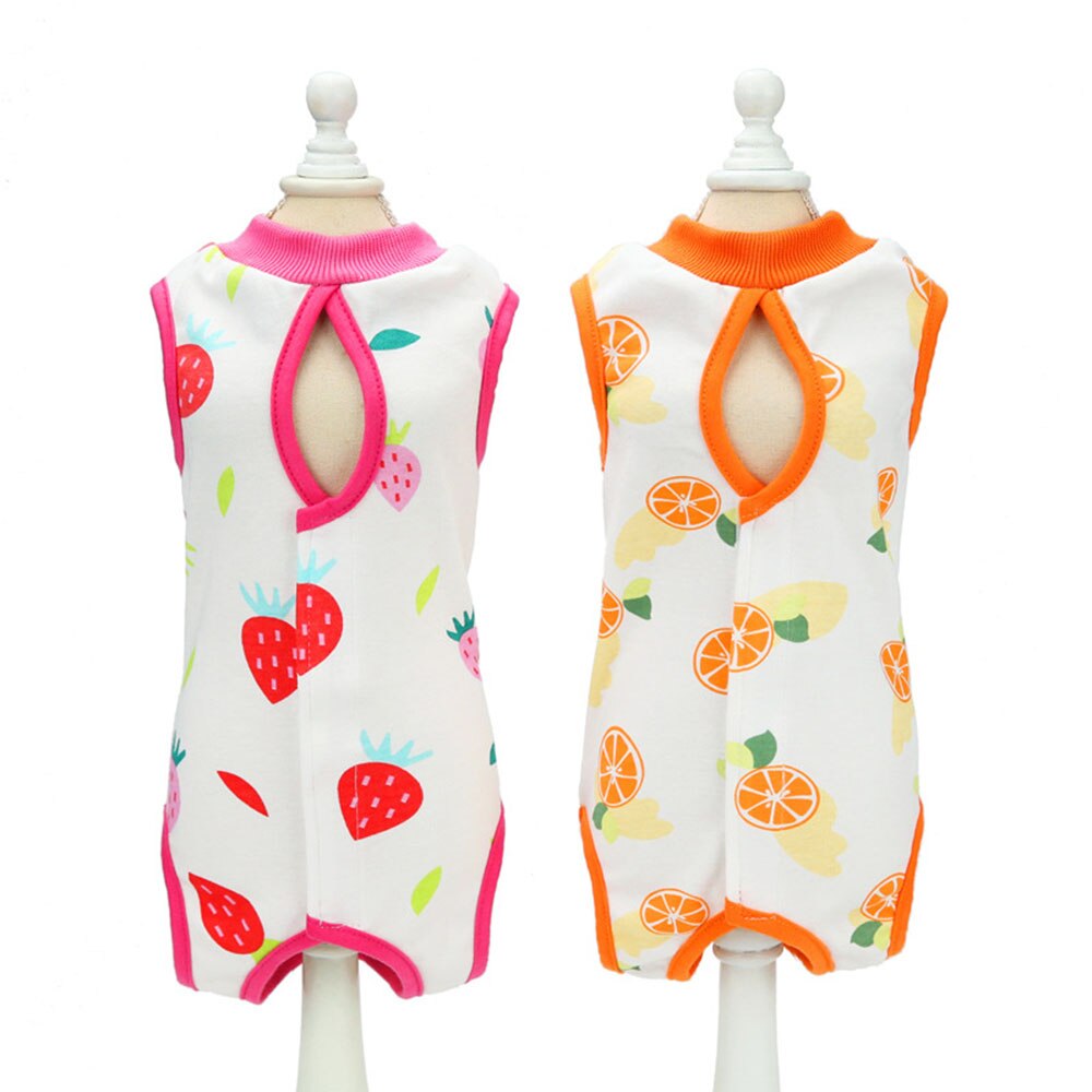 Combinaison de récupération chirurgicale pour chat, pour les blessures abdominales chirurgicales, vêtements pour animaux de compagnie, collier E alternatif pour chats et chiens, pyjama après stérilisation