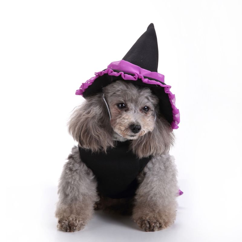Hundekatt halloween heksekostyme,cosplaykostymer til kjæledyr,valpevarme antrekk fleece