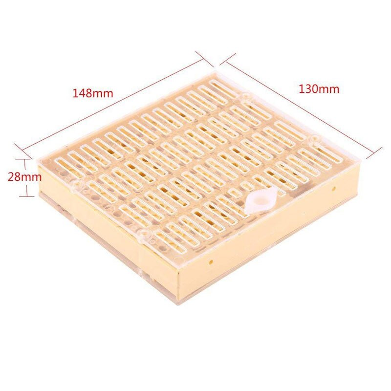 Beekeeping Tools Equipment Set Queen Rearing Culti... – Vicedeal