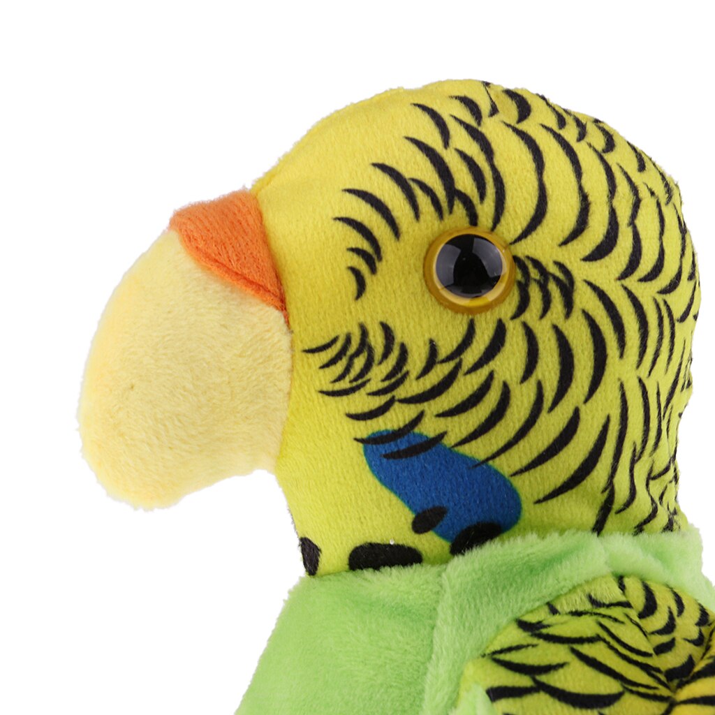 Juguete para hablar con el loro que habla con alas