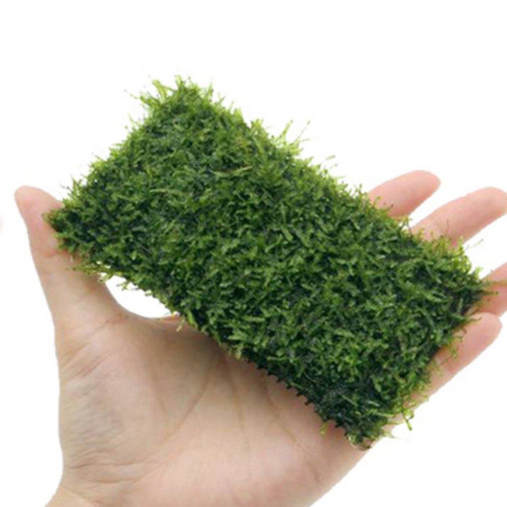 1pc Stainless Steel Aquarium Grass Mat Mesh Woven Wire Mesh Rodent Proof 8*8cm Metal Mesh Sheet 1mm Hole for Air Ventilation