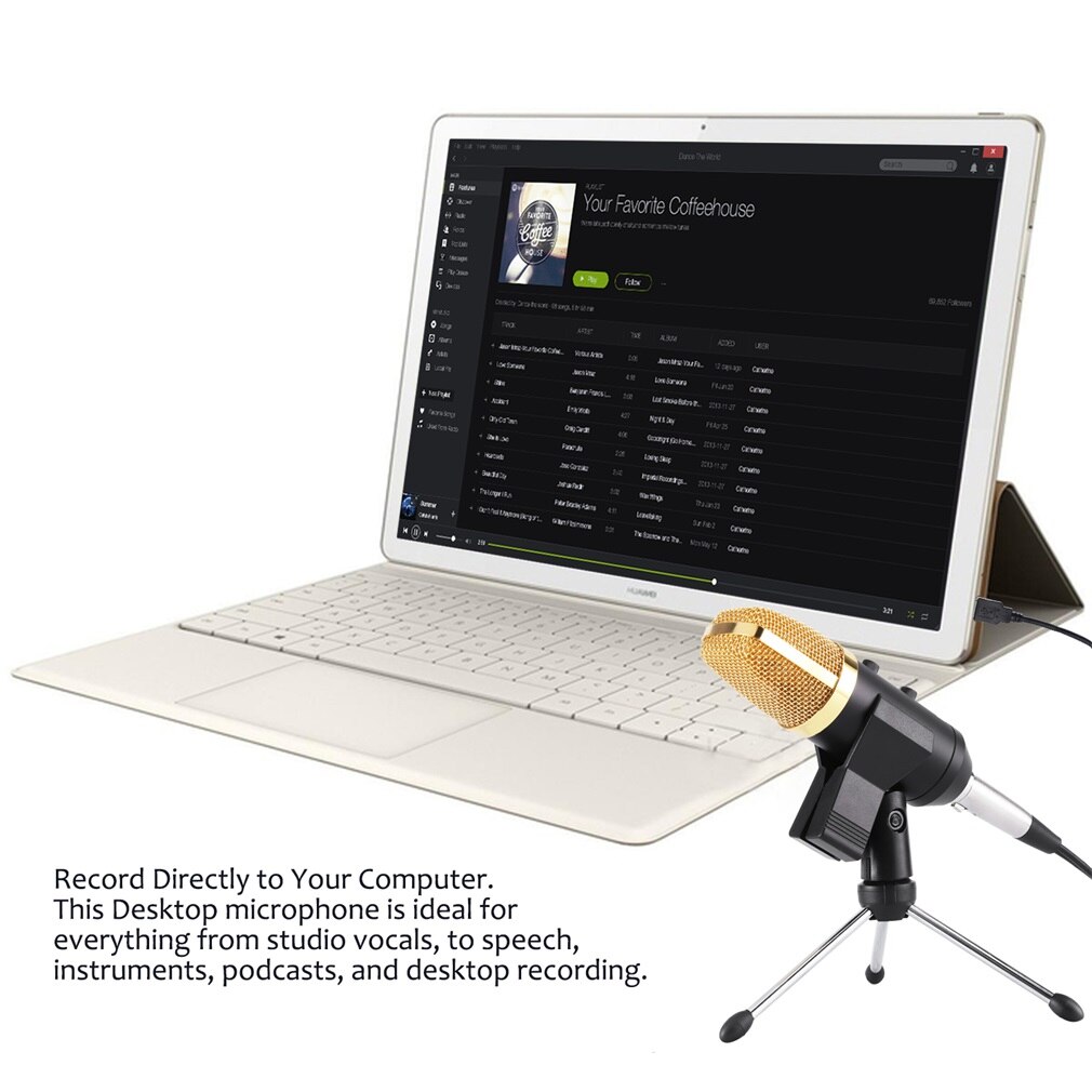 LESHP Black Volume Reverberation Condenser Network K Song Dedicated Microphone for Personal Studio, Chat Rooms, Radio Stations
