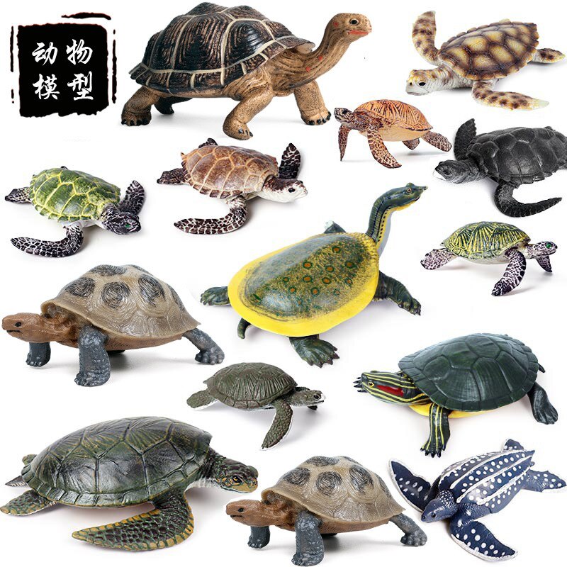 Simulatie Oceaan Dier Zeeschildpad Serie Miniatuur Model Action Figures Collection Cognitie Creativiteit Speelgoed Voor Kinderen