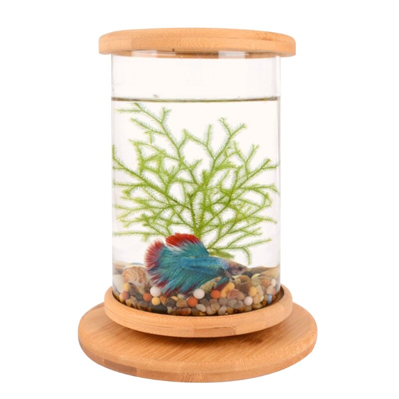 Mini pecera de escritorio con marco de bambú, kit de iniciación para pecera, giratoria Manual de 360 °, decoración perfecta para el hogar y la Oficina