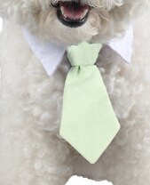 Pet Dog Cat Formal Necktie Tuxedo Bow Tie Black Cute Red Collar for Dog Cat Pet Accessories Suit for Small Medium Dogs and Cats: Green / S