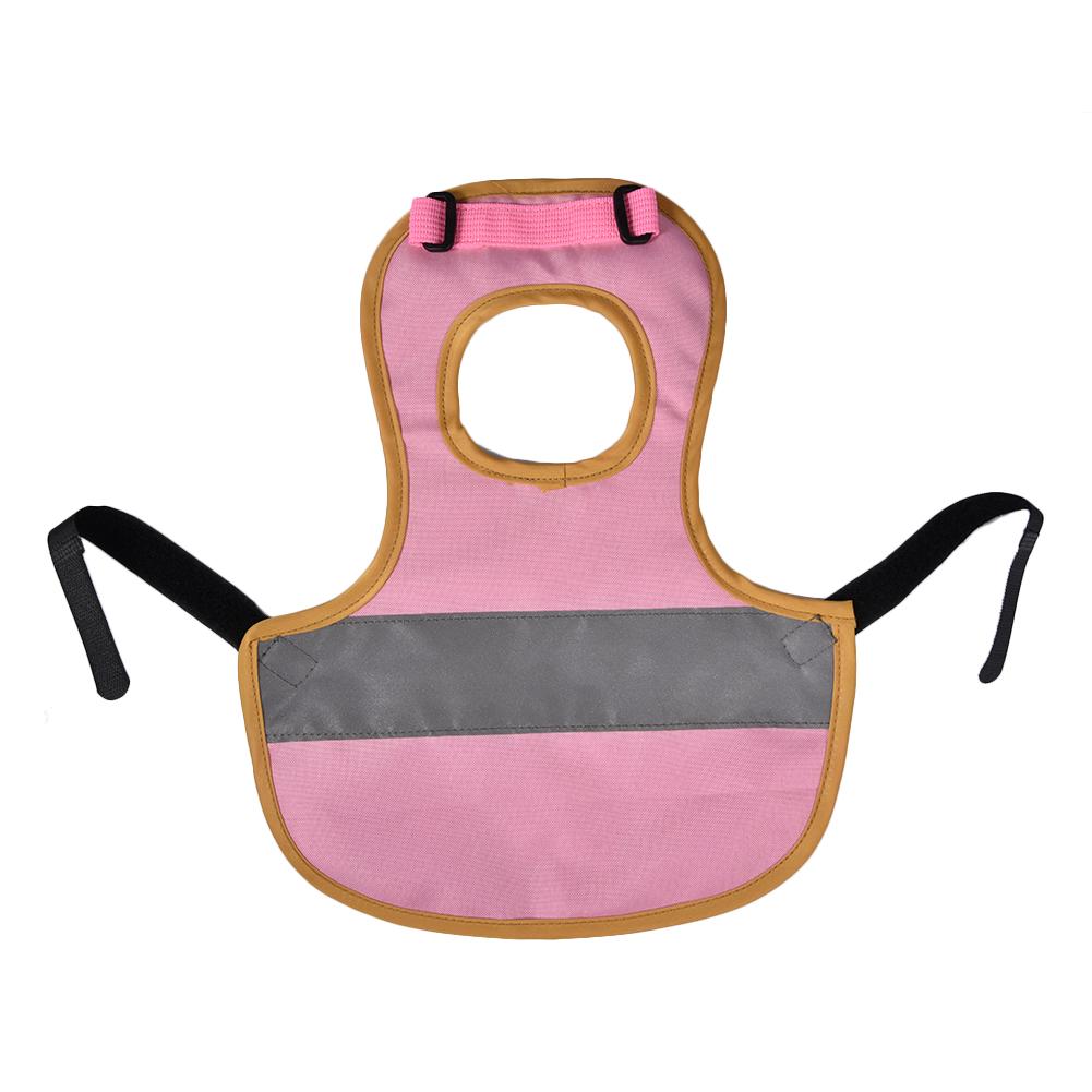 Ropa de Mascota para aves de corral, delantal de sillín, soporte de protección de plumas para pollo y pato,: Red