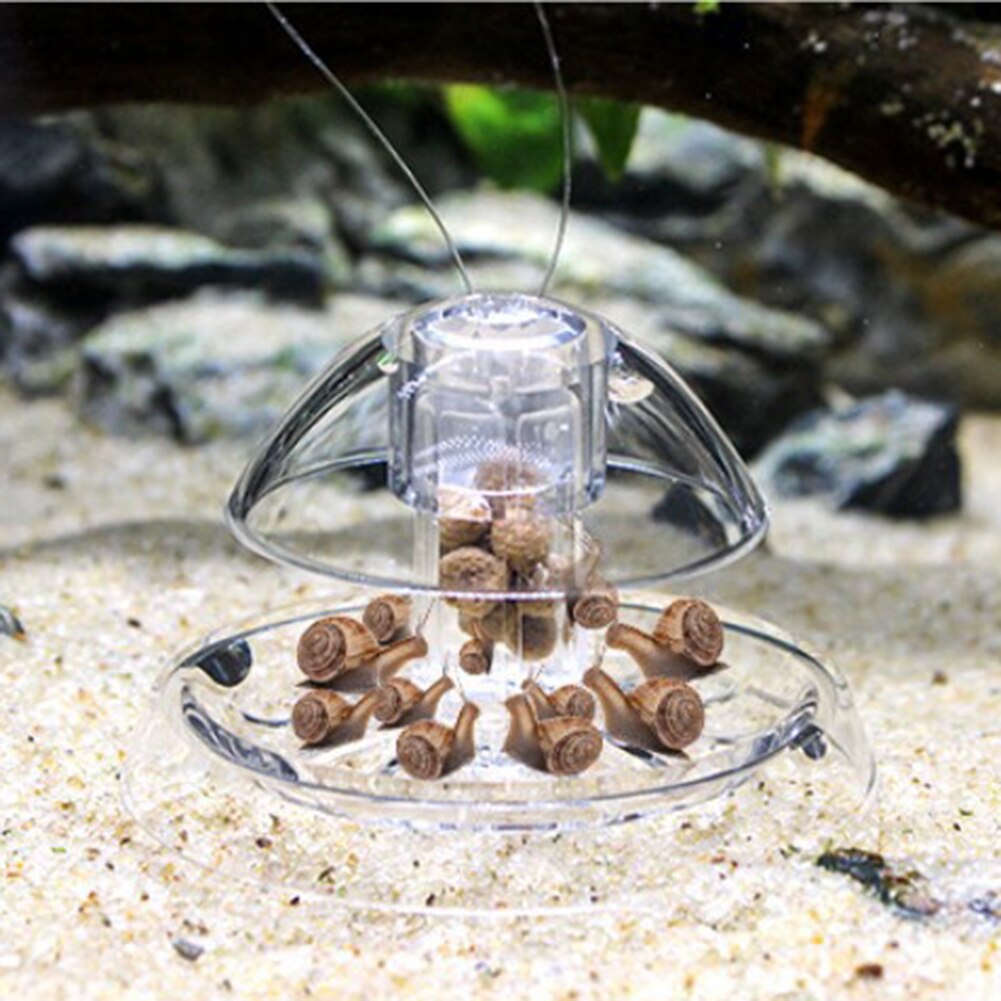 Grass Tank Snail Removal Device Fish Tank Snail Catcher Trapping Aquarium Plant Cleaner Pest Catch Box Clear Snail Tool