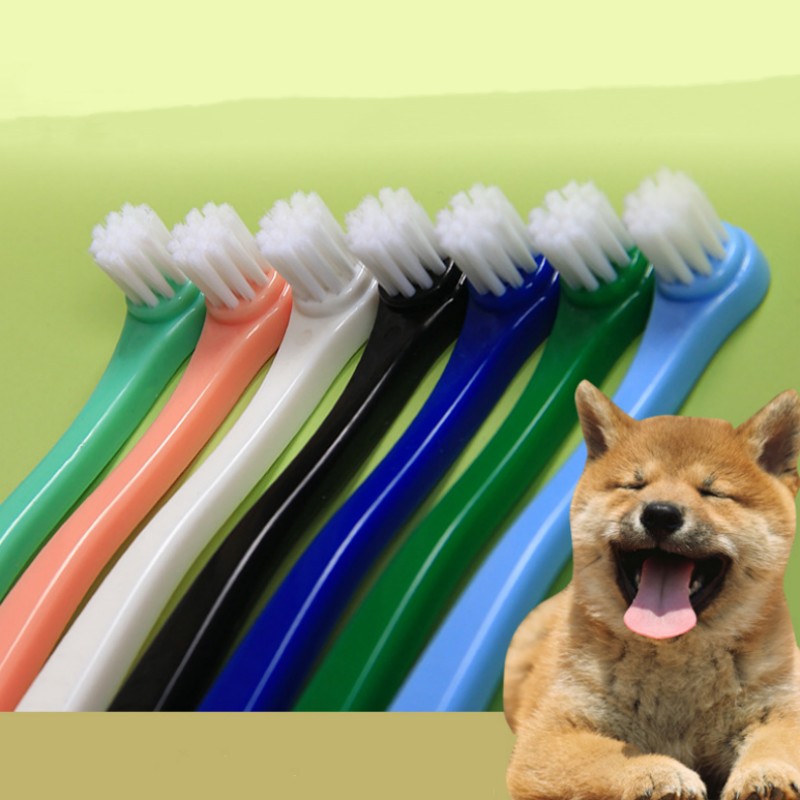 Escova de dentes para cães, cabeça pequena, escova de dentes para animais de estimação, 2 peças, conjunto de limpeza de dentes para cães, cuidados bucais, filhote de cachorro, cabo longo, escova de dentes para gatos