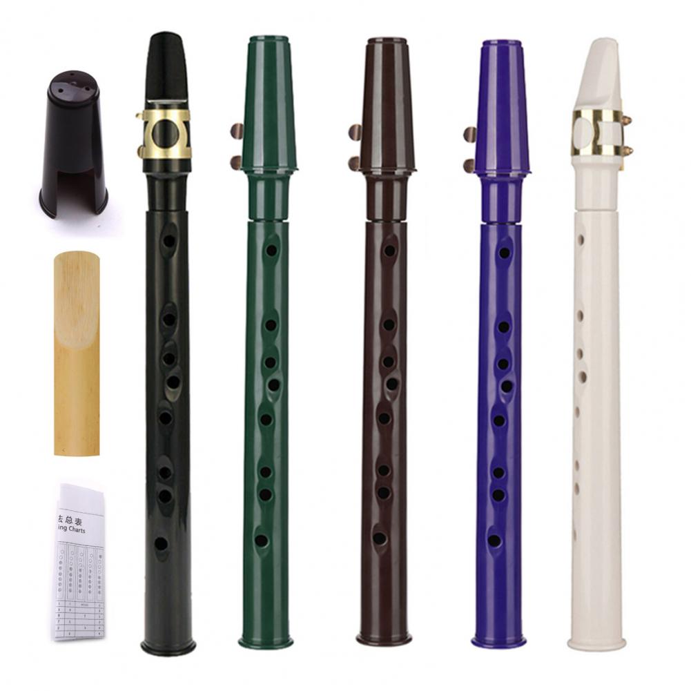 Saxofón de bolsillo portátil de plástico para entrenamiento, instrumento de saxo con lengüetas, bolsa de transporte, pastas de diente para principiantes