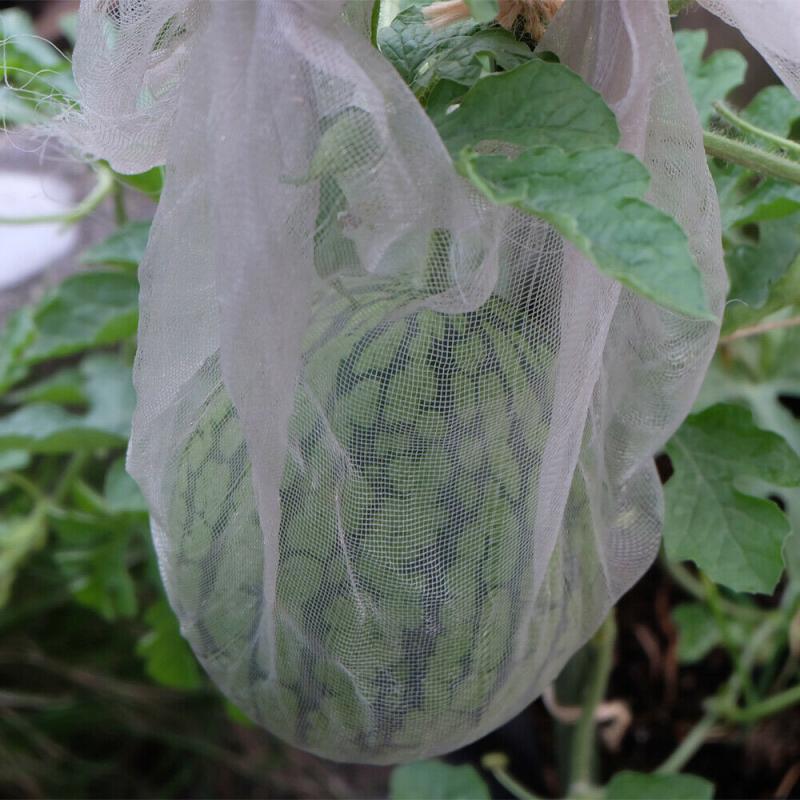 Squash Net For Insect Control 6/10M Insect Control Net Vegetables Care Cover Pla... – Grandado