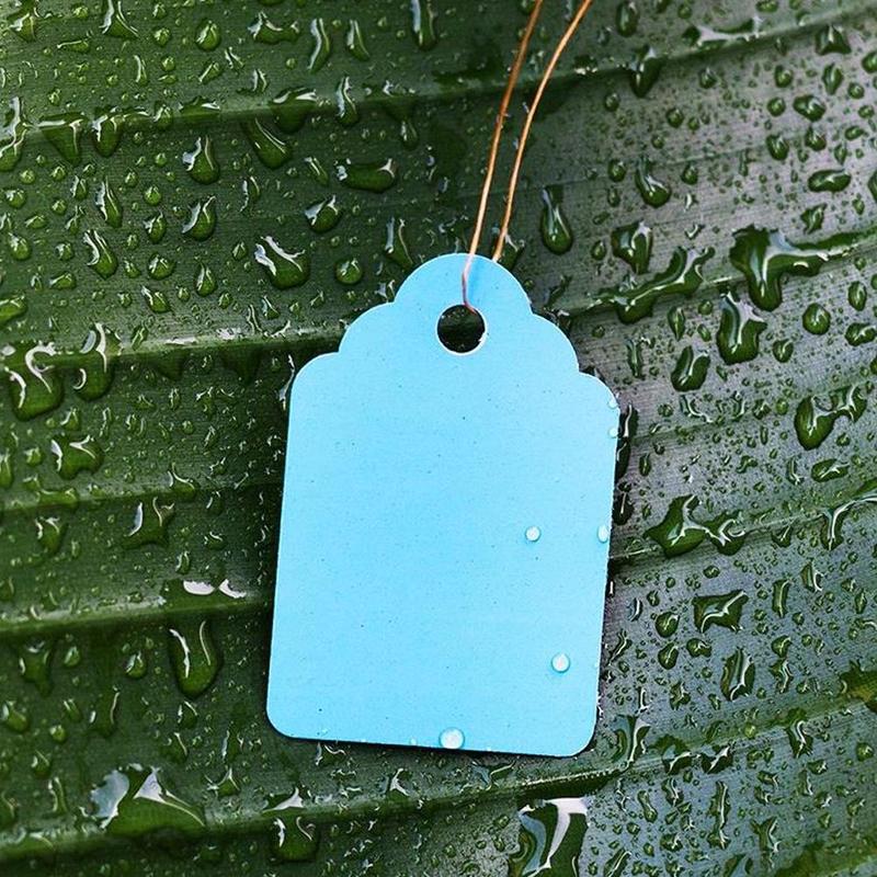 100Stck/tasche Wasserdichte Streifen Linie Garten Etiketten Gartenarbeit Baum Zeichen Anlage Hängen Stichworte Garten Etiketten Blume Stichworte Anlage labor