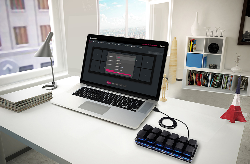 12-Tasten Mini mechanische Spielen-Tastatur Einhandtastatur USB-C Kabelgebundene OSU-Tastatur Programmierbare und -Tauschen-fähige Tastatur