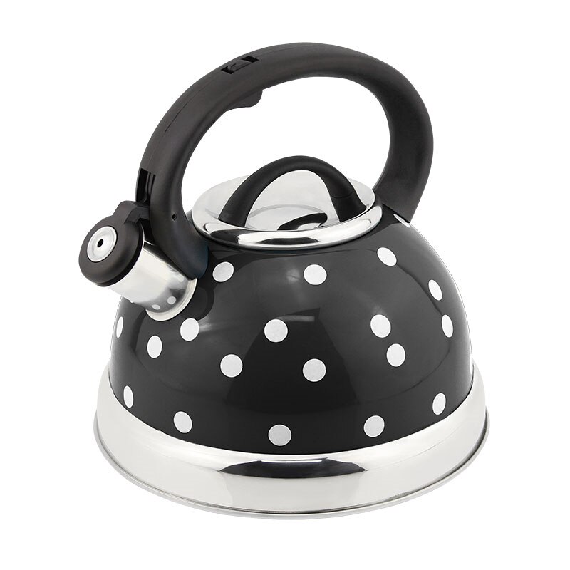 Stainless Steel Kettle Color Paint Water Pot With Dot 3.0l 769C: Black