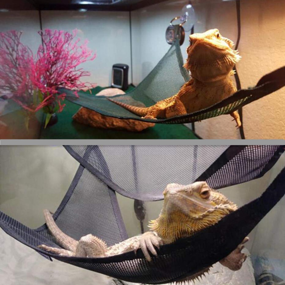 Reptile Hammock Lounger Ladder Accessories Set For Large Small Bearded Dragons Anole Geckos Lizards Or Snakesi
