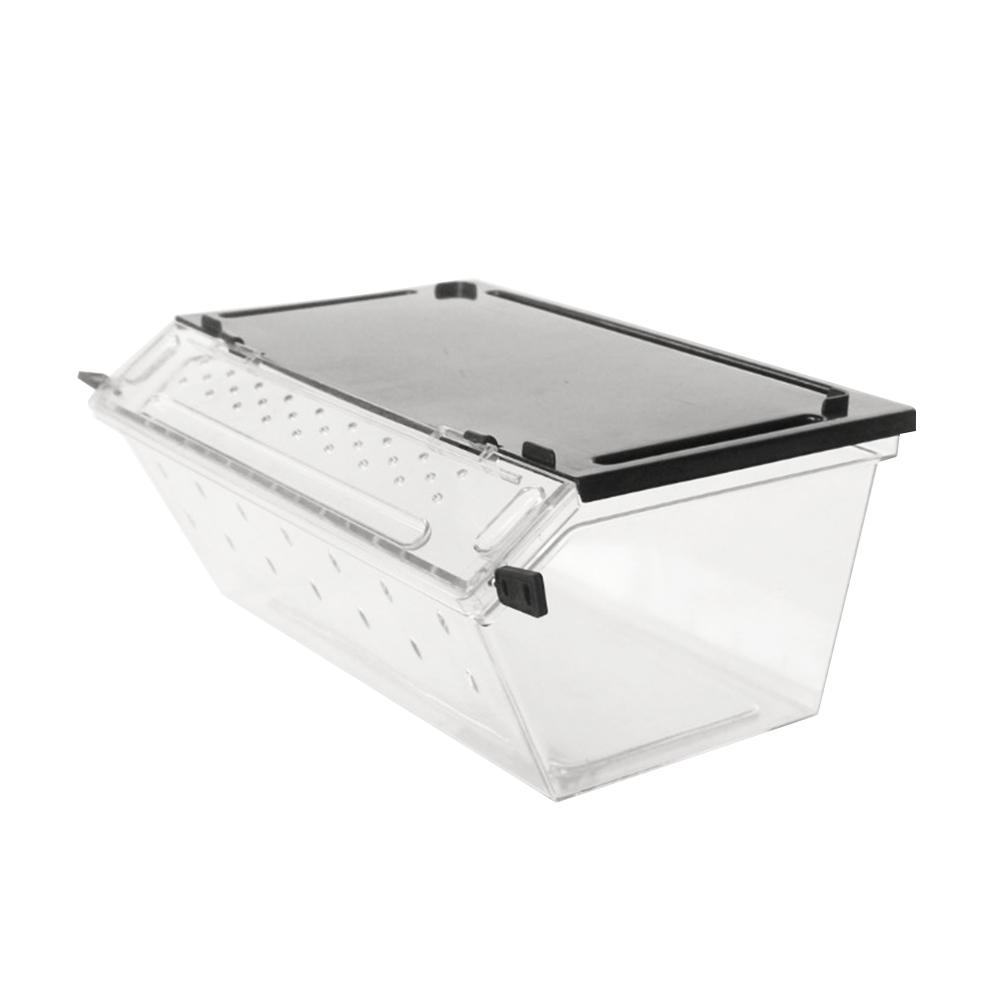 1 caja antideslizante para terrario para reptiles, caja de vivienda con forma de serpiente, Araña, lagarto, escorpión, Rana con cuernos, caja para cría de Gecko