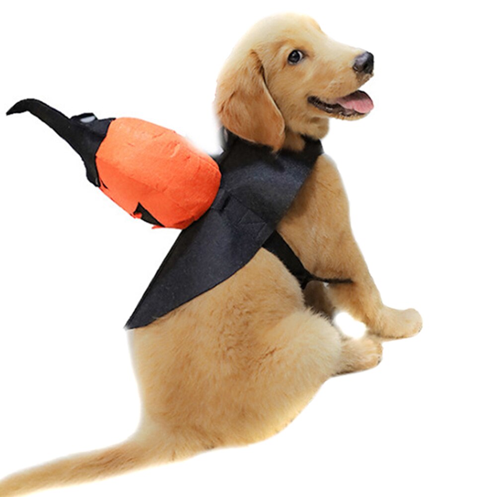 Kjæledyrhund halloween gresskar kostyme gresskar ridder med trollmann heks lue hundeklær kostyme  h88f