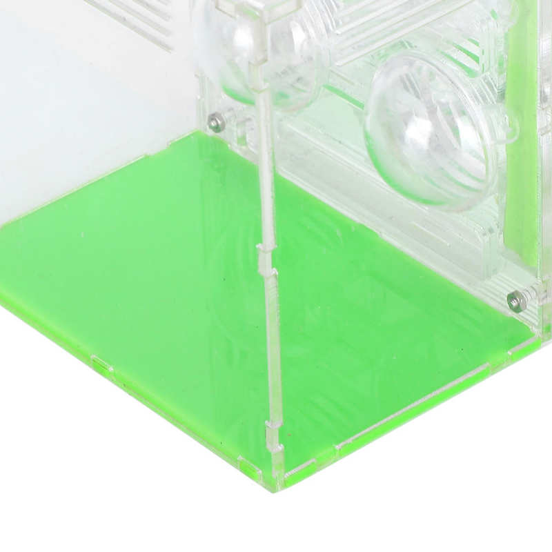 Insects Box Reptiles Living Box Transparent Acrylic Ant Breeding Box Watching Feeding Moisturizing Pet Ants Case C Type