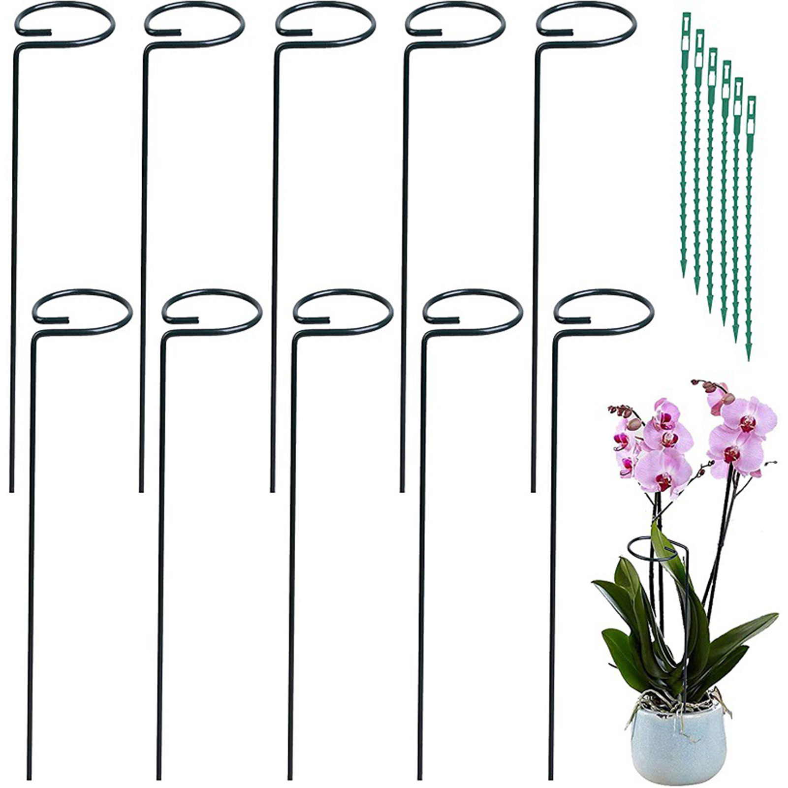 5/10 Stück Gartenstütze Pfahlring Metall Gartenpflanze unterstützt Einzelstamm Strauchhalter für Pflanzen Rose Blumen Gemüse Rebe