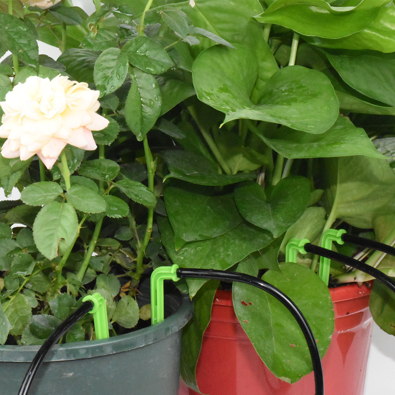 KESLA Tuin 2L/H Groene Bocht Pijl Druppelaars Druppelirrigatie Watering Systeem Kit 3/5mm Slang voor plantenpot Bonsai Gereedschap Kas