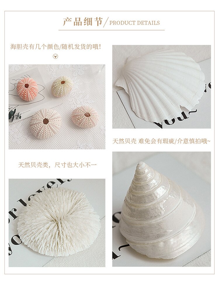 Shell decoration photography accessories photography Retro Props Birthday Party decorations props