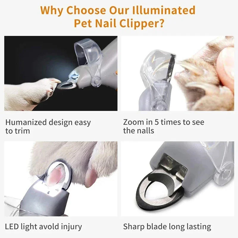 Ciseaux professionnels pour coupe-ongles pour animaux de compagnie, avec lumière LED, pour chat et chien, outil, ciseaux pour couper les griffes des orteils, fournitures pour animaux de compagnie