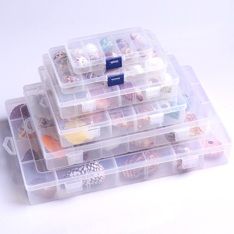 Natuurlijke Shell Schelp Exemplaren Populaire Wetenschappelijke Materialen Conch Geschenkdoos Kleuterschool Voorschoolse Mariene Biologie Collection Craft