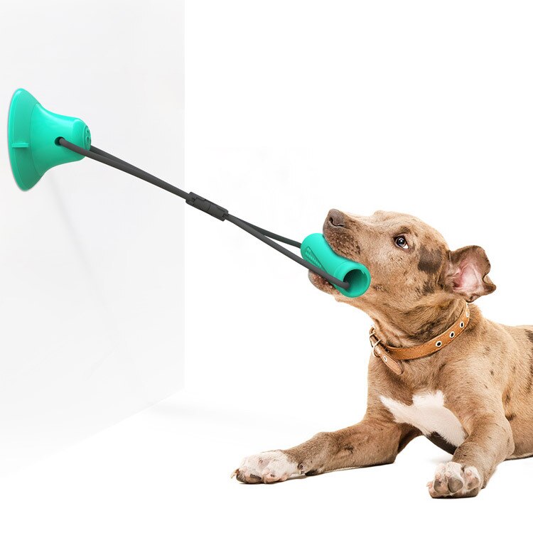 canna ventosa giocattolo tre-pezzo forniture per animali da compagnia nuovi prodotti nuovi modelli di esplosione di vendita calda bastone molare morso-resistente palla