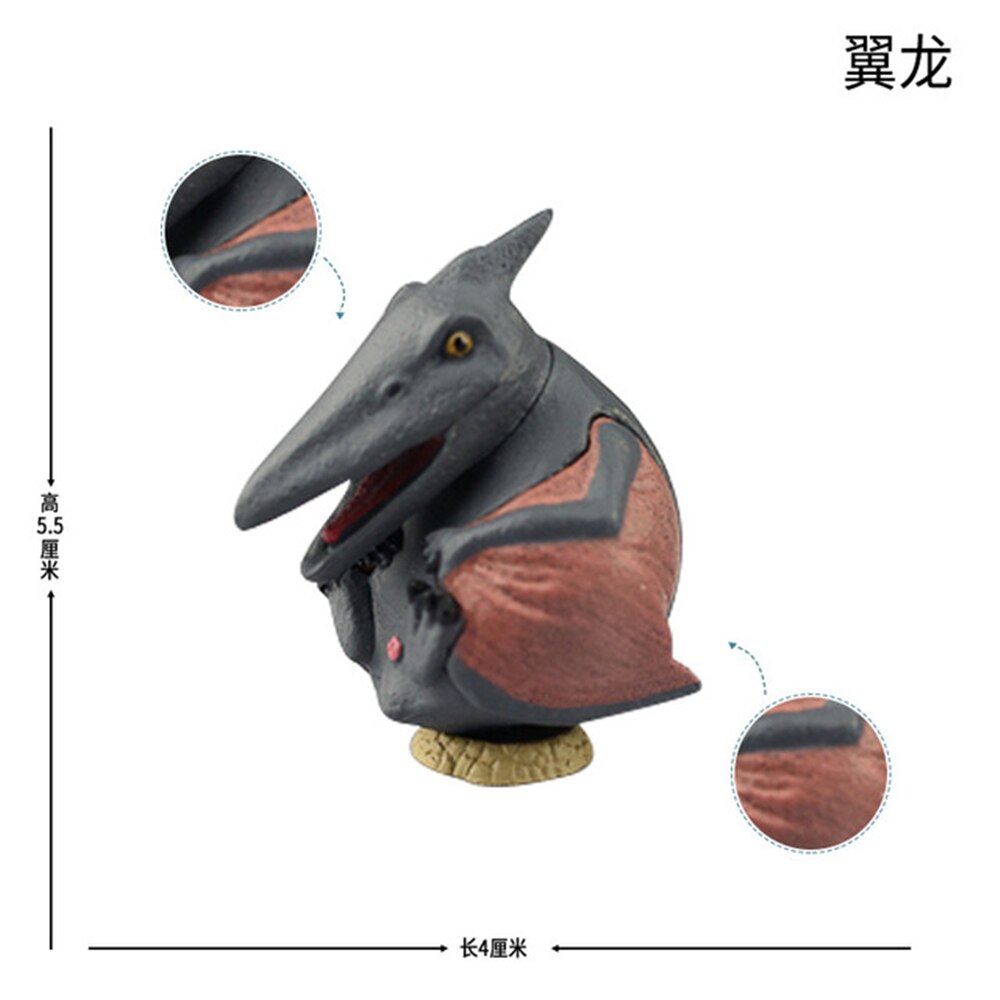 Lion Mandrill Hippo Elephant Penguin Dinosaur Tyrannosaurus Mosasaurus Triceratops Figure Animal Model Collector Decoration: Pterosaur