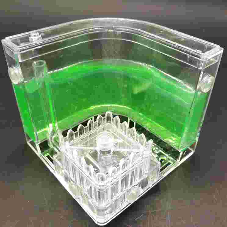 Authentic Ant farm Birthday pet villa Home queen ants workshop from mail Ant farm