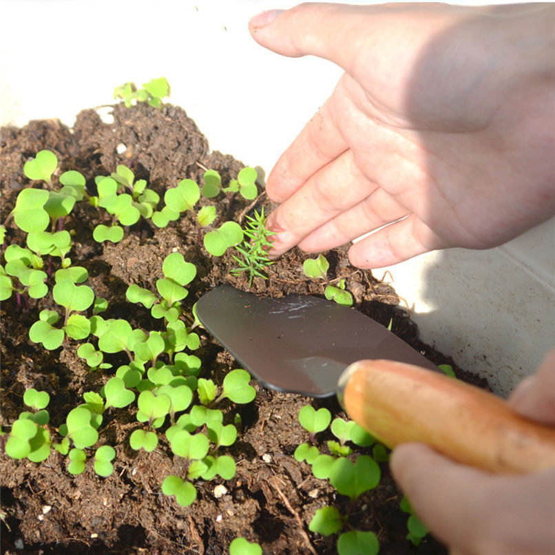 Peosaard D-förmiger Kunststoffgriff - Ersatzgriff Für Schaufel & Gartengabel 18cm